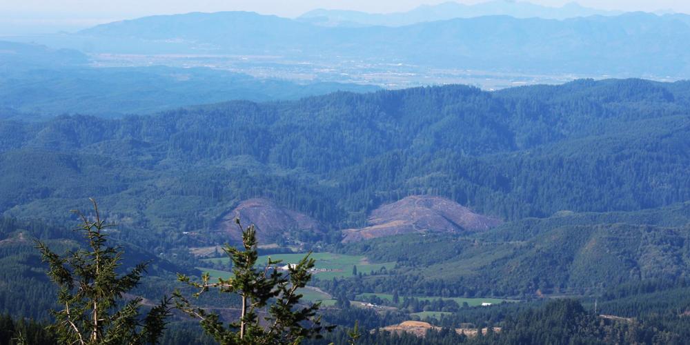 Mt. Hebo’s mountain men find memories at the top Community