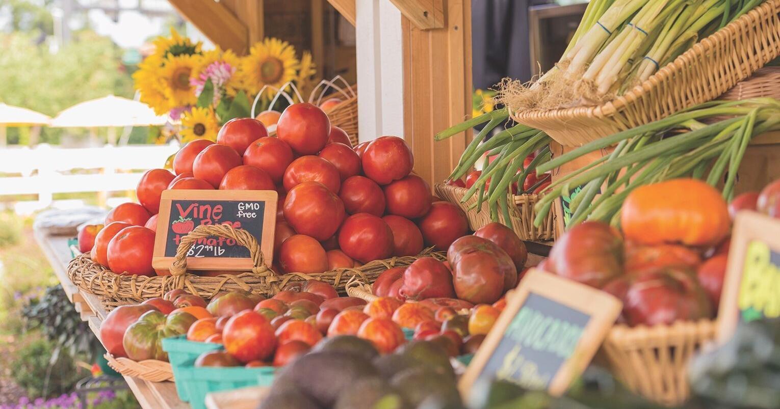 Be In Touch: OSU Extension Food Safety and Preservation hotline opens for the season - Vimarsana News