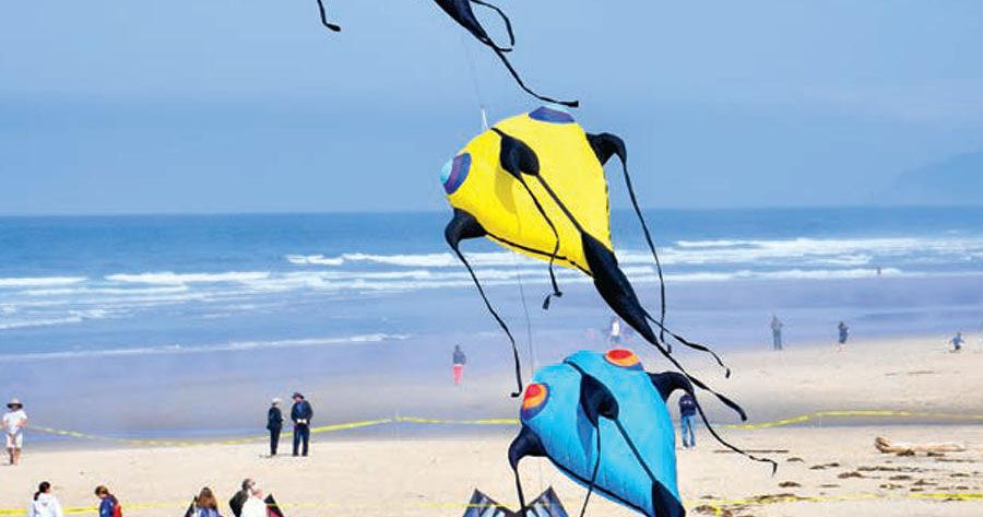 2024 Tillamook County Discovery Guide - Vimarsana News