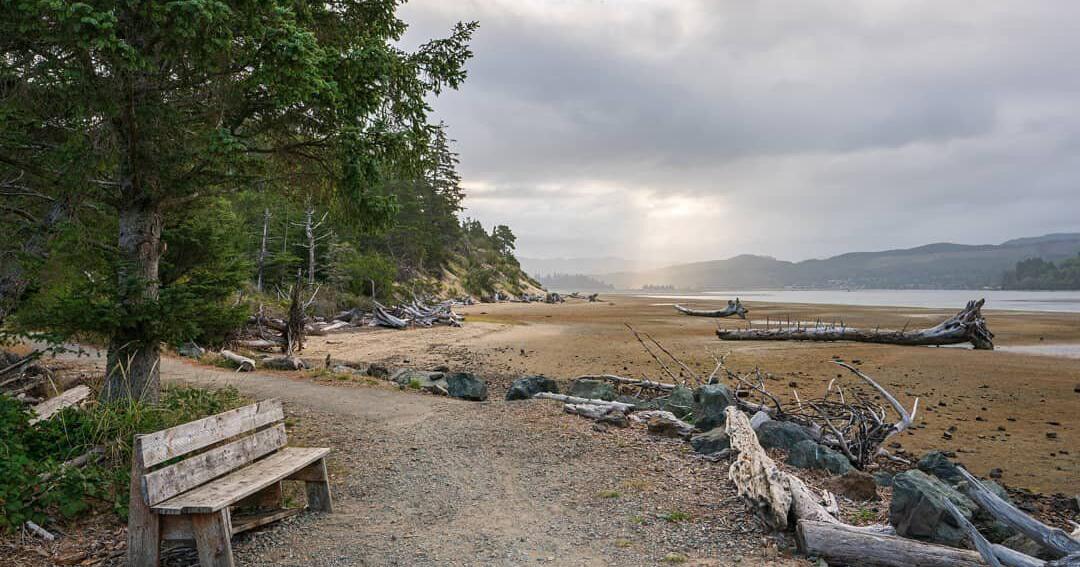 Cougar Sighting: Multiple reports force closure of coast trail - Vimarsana News