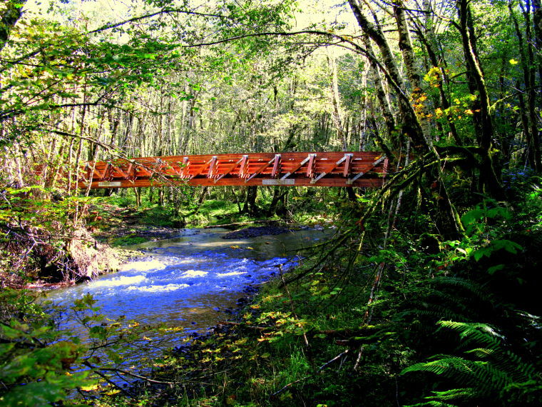 Tillamook State Forest recieves new bridges thanks to grant funds