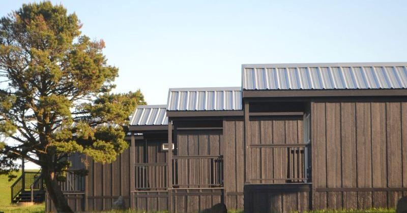 68905aaccfc6c.image.jpg?crop=800,420,0,1