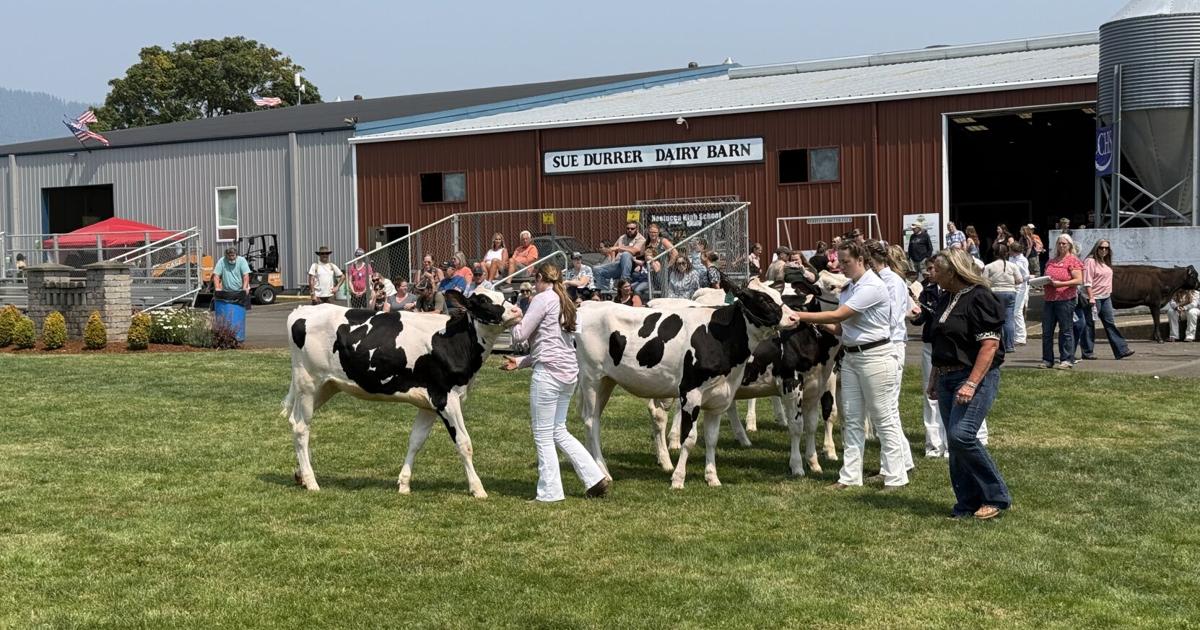 Old Fashioned Country Fun had at Tillamook County Fair
