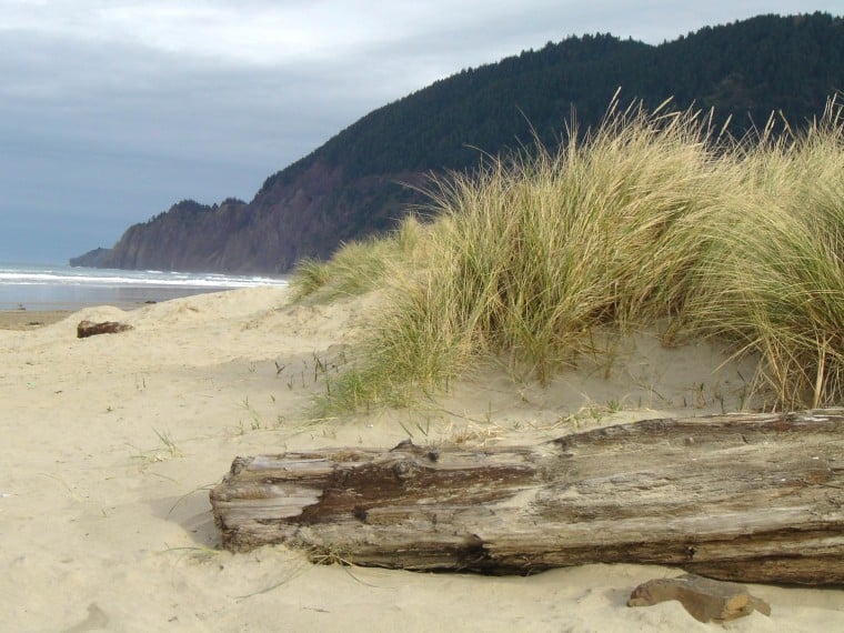 Body Found On Manzanita Beach News Tillamookheadlightherald