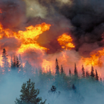 Renewed commitment to state's wildfire response urged | News | tillamookheadlightherald.com - Vimarsana News