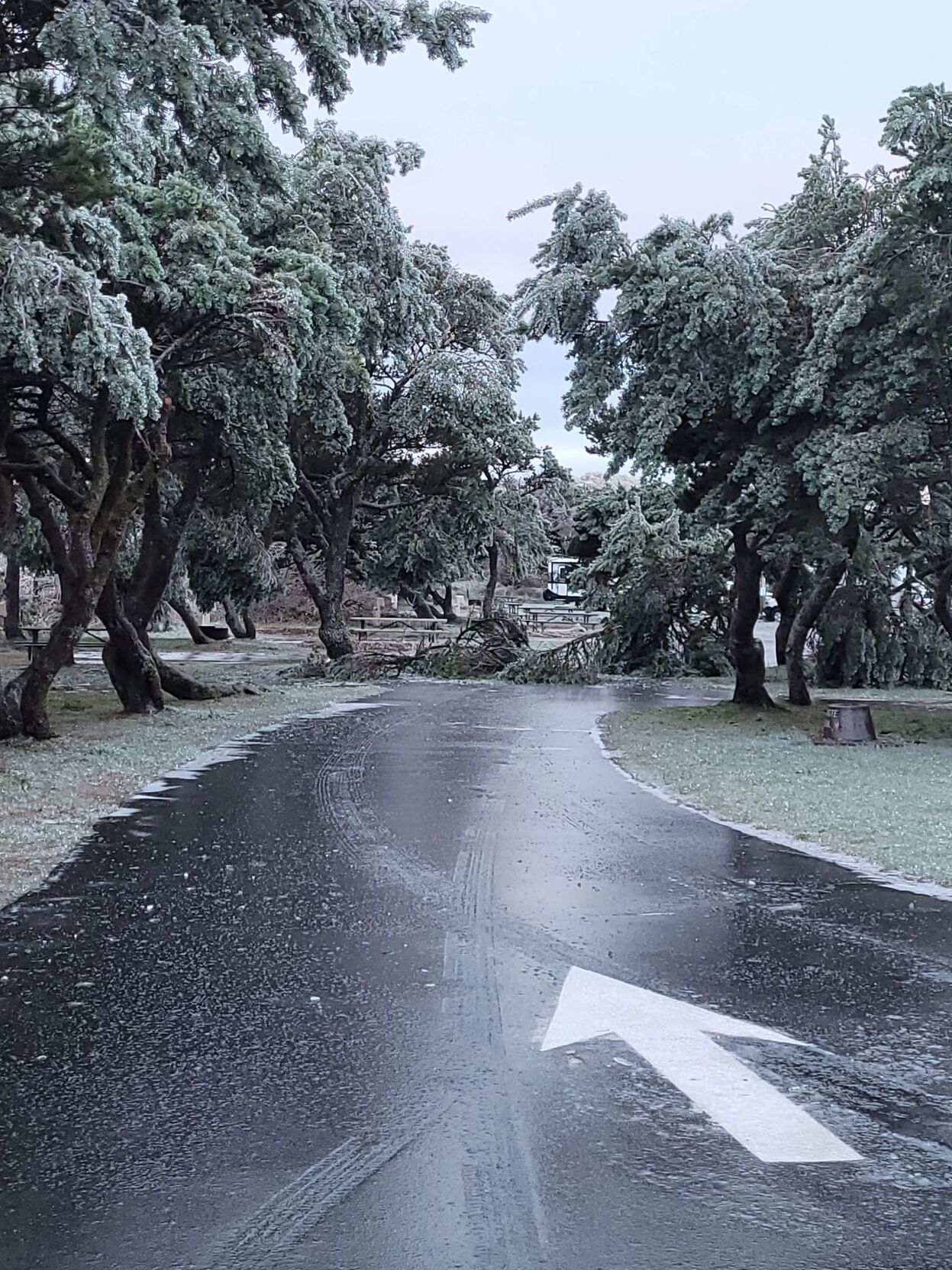 Photos At least nine state parks closed or partially closed due to ice