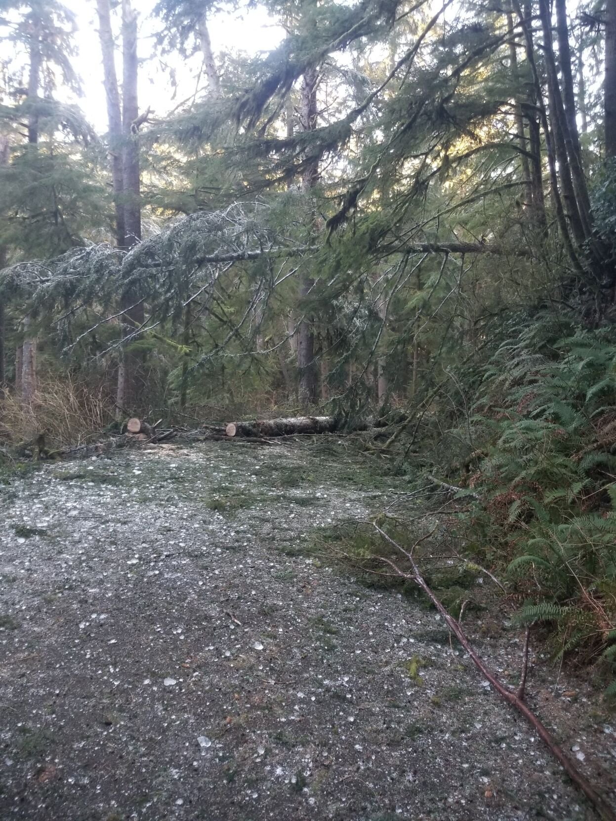 Photos At least nine state parks closed or partially closed due to ice