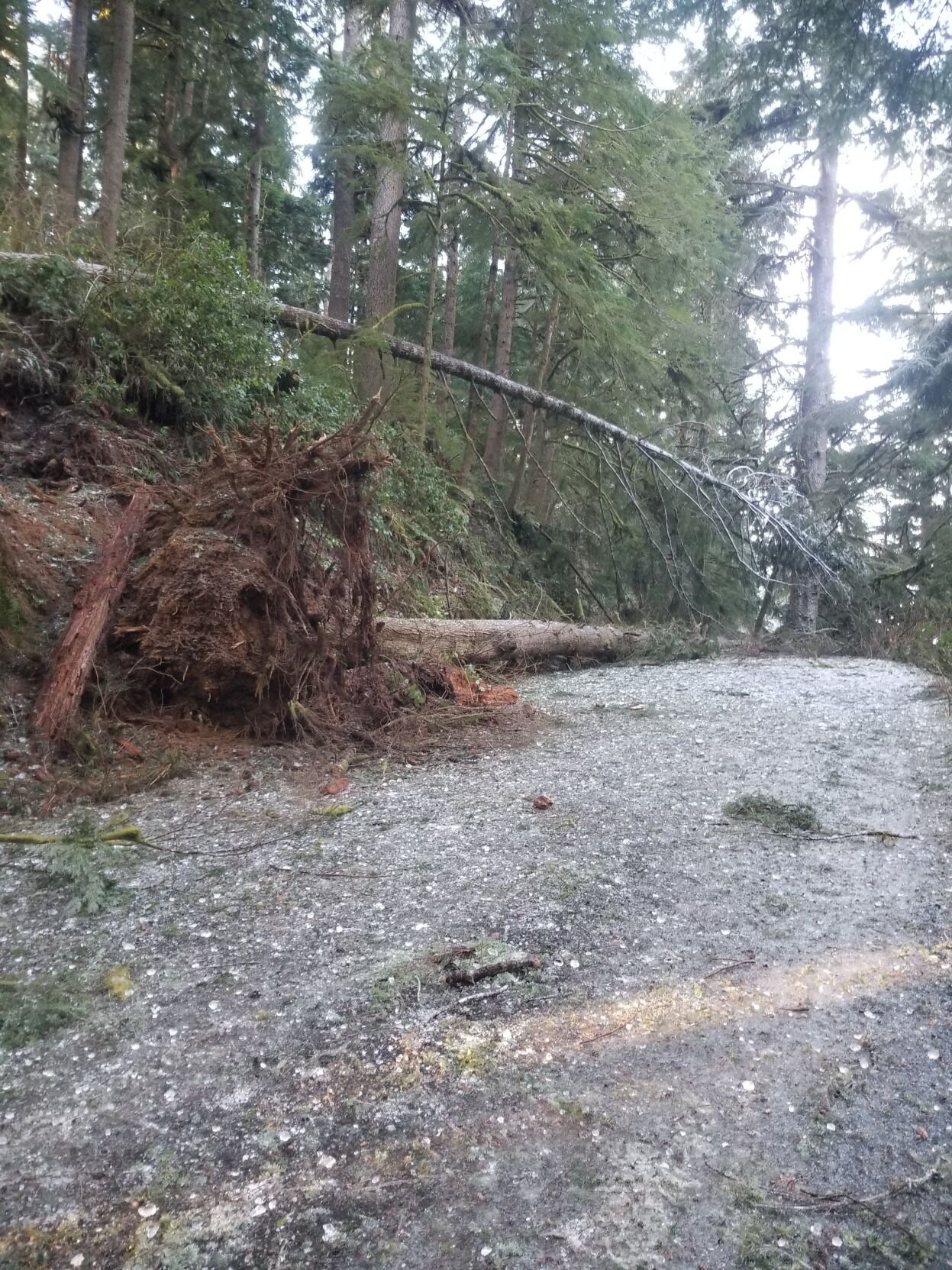 Photos At least nine state parks closed or partially closed due to ice