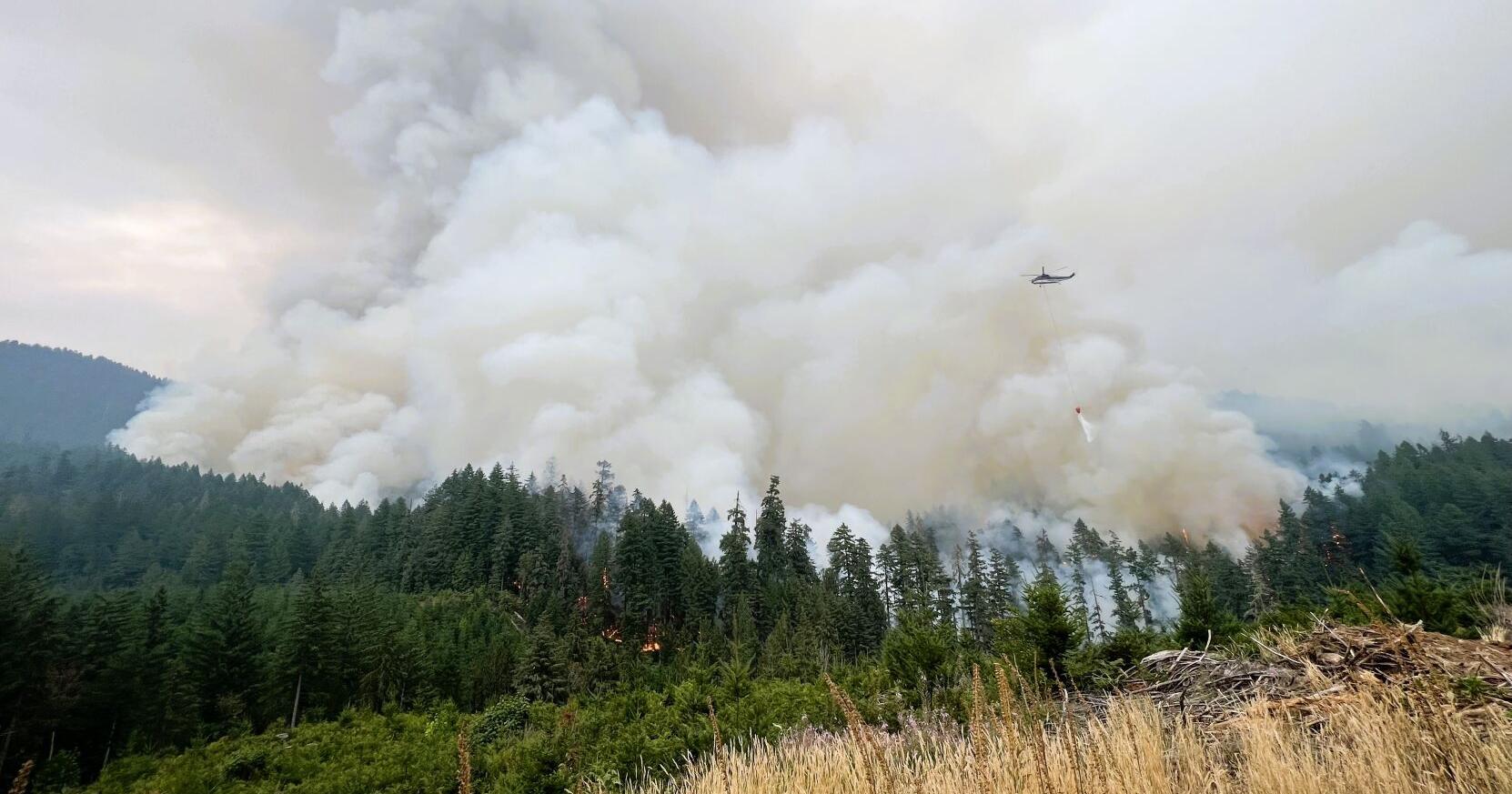 Steep and Deep: A close look at the 2024 wildfire season ahead - Vimarsana News