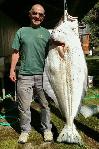 Pacific halibut all-depth fishing closed in Columbia River Subarea, Sports