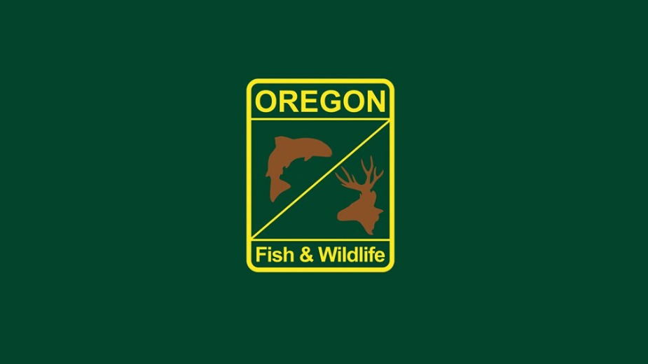 Oregon Department of Fish and Wildlife Recreation Report News tillamookheadlightherald picture photo