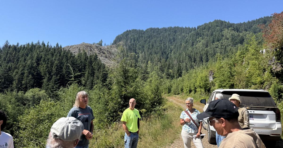 Residents tour Nehalem forest