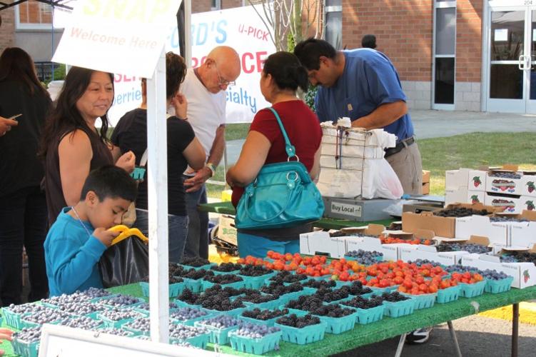 The Tillamook Farmer's Market thrives News