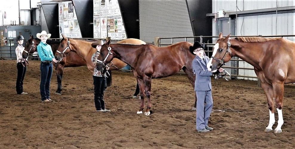 Matt Olson Horse Training, Sports team