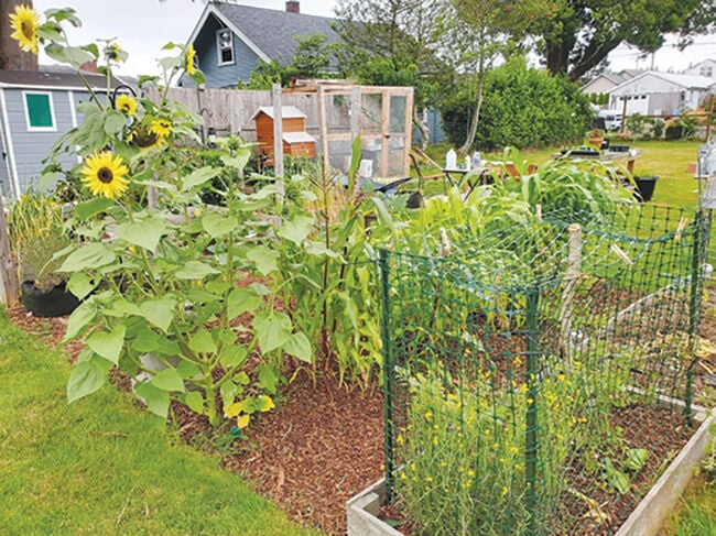 LevelUp Follow-up: Fresh from the chefs’ garden