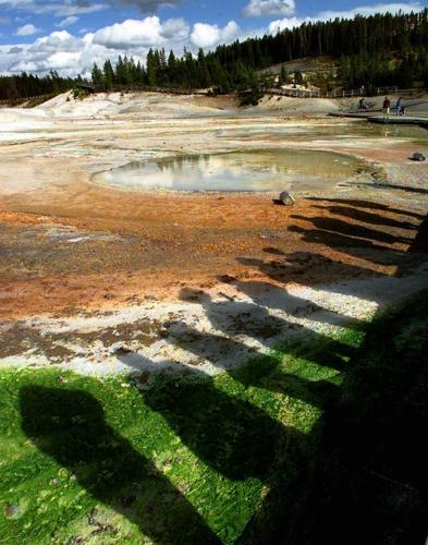 Yellowstone National Park in Wyoming