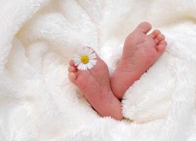 Birth Announcements: October