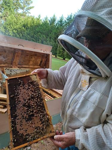 Local beekeeper shares how buying license plates helps honey bees