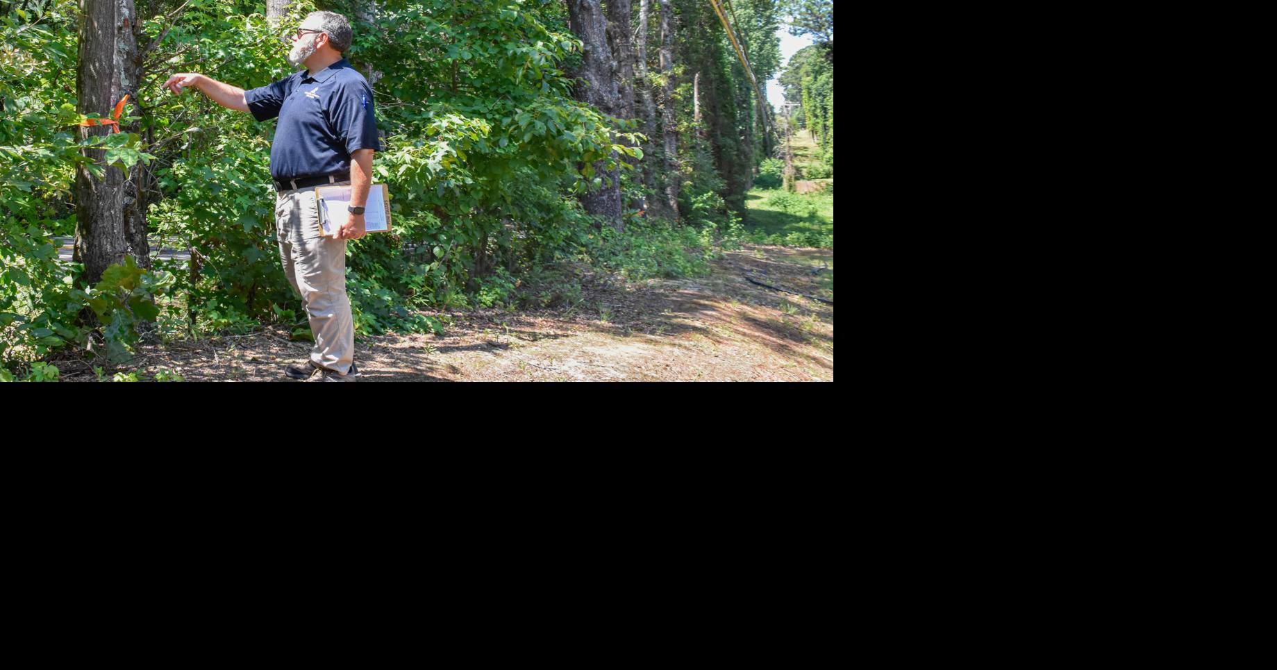 EMA tree removal program underway | News | times-herald.com