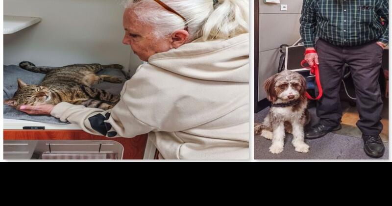 The power of unconditional love: Pets’ effect on mental health | News