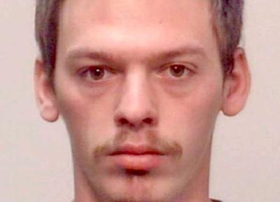 Man pleads guilty to child molestation | Local News | times-herald.com