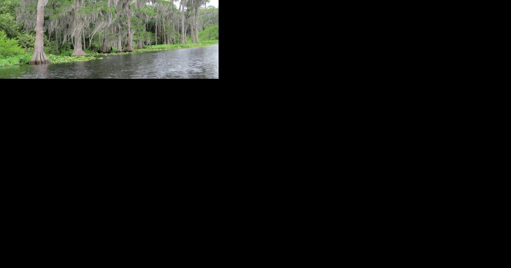 Lawmakers debate mining near Okefenokee Swamp - Vimarsana News