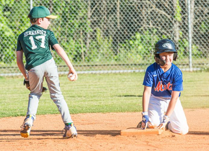 This week in Sharpsburg Youth Baseball Sports