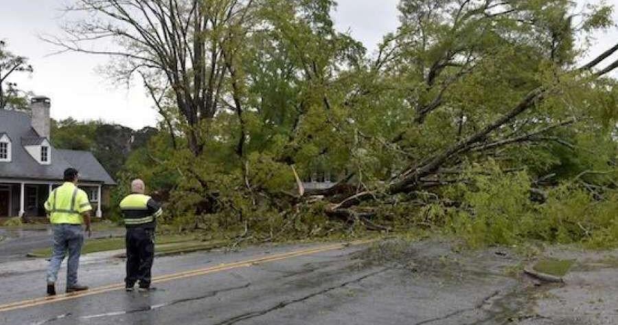 Storm downs trees, knocks out power | Local News | times-herald.com