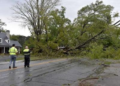 Storm downs trees, knocks out power | Local News | times-herald.com
