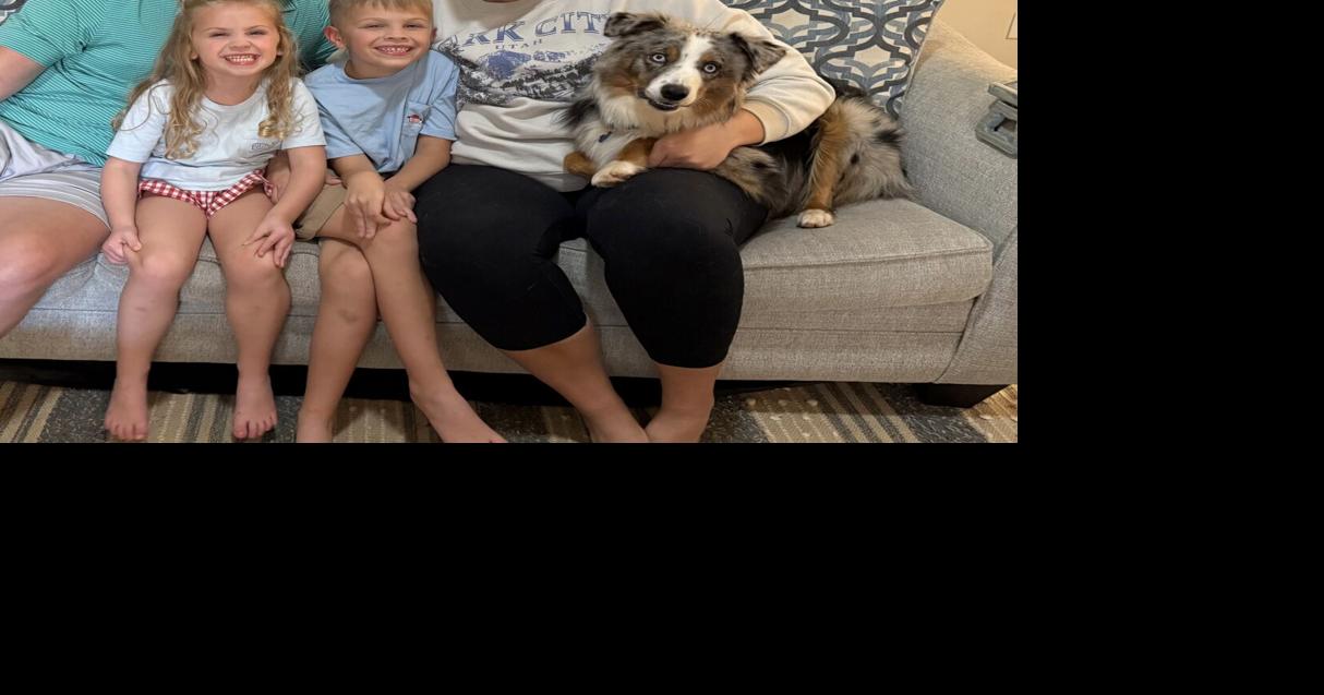 Family reunites with lost dog after weeklong search | Arts & Community ...
