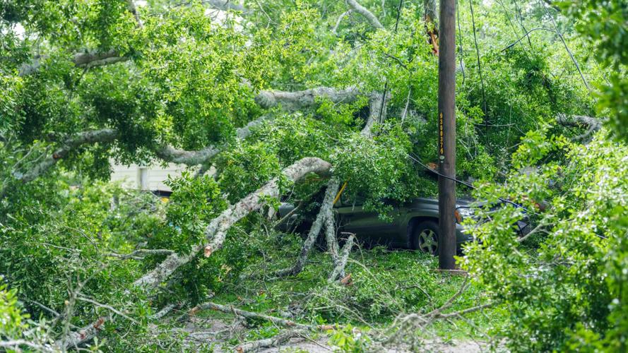 Tree Fall Hit PHOTO GALLERY: Falling tree damages homes | | times-herald.com