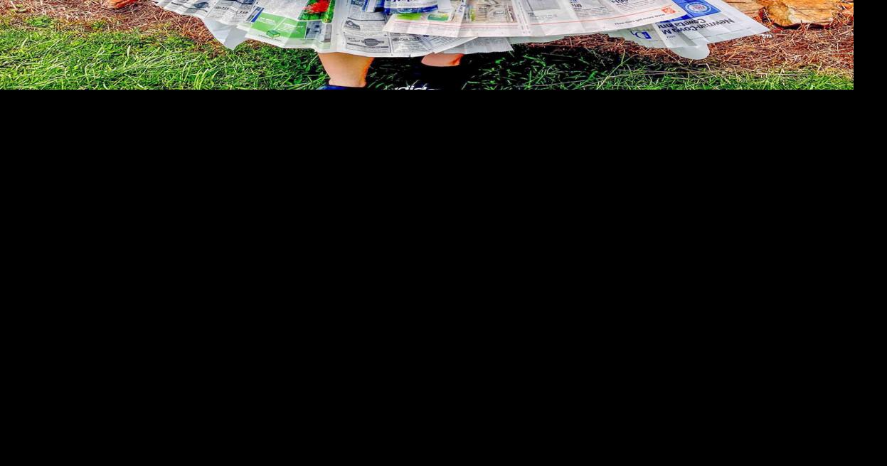 The art of newspapers Multimedia