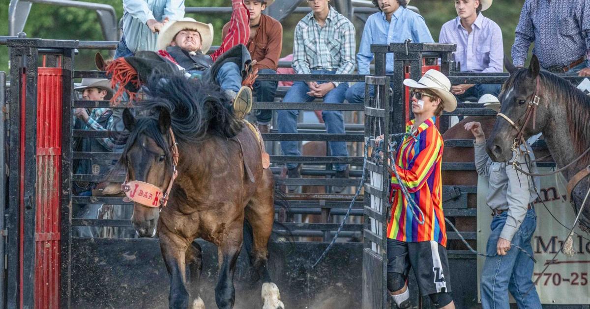 Longford Rodeo Rodeo continues Friday, Saturday with food, family fun and western ...