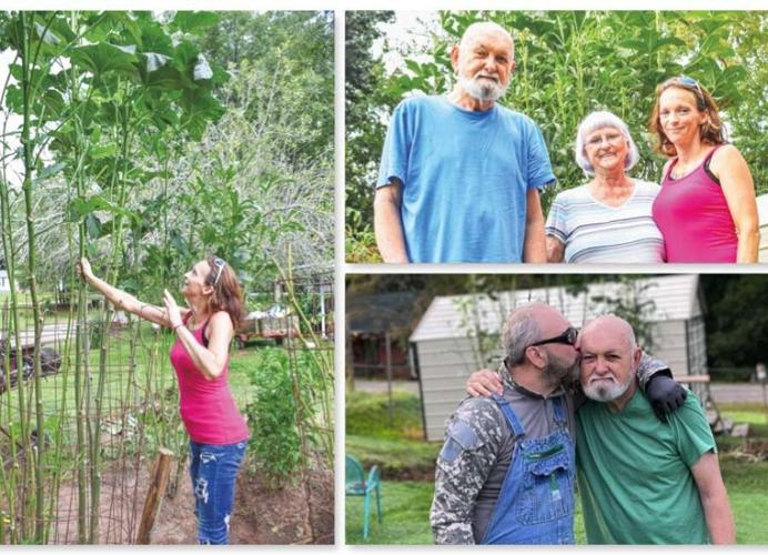 Coweta’s tallest okra plant originates from a garden of love