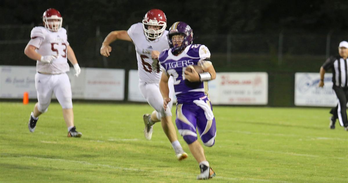 TimesJournal.com - Tigers rumble past Lions in overtime image