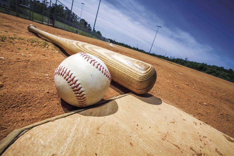 TimesJournal.com - Six Ider baseball players make all-area team image
