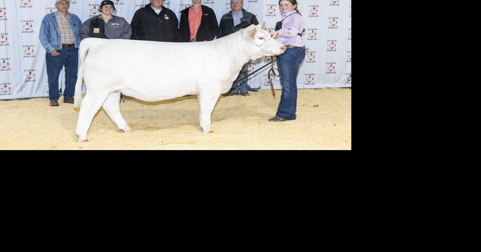 Local youth brings home awards from state livestock show | Business ...