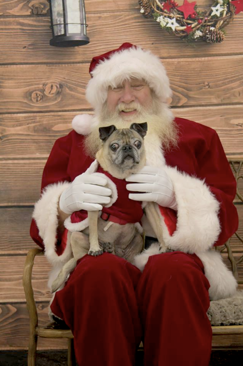 Santa Paws Portraits and Pet Adoptions event this Saturday