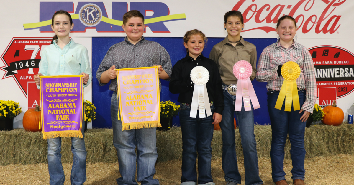 Local students win ribbons in youth sheep showmanship, premier ...