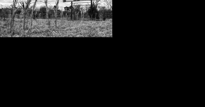 'Forgotten Alabama' photographer speaks at Landmarks Annual Meeting - Vimarsana News