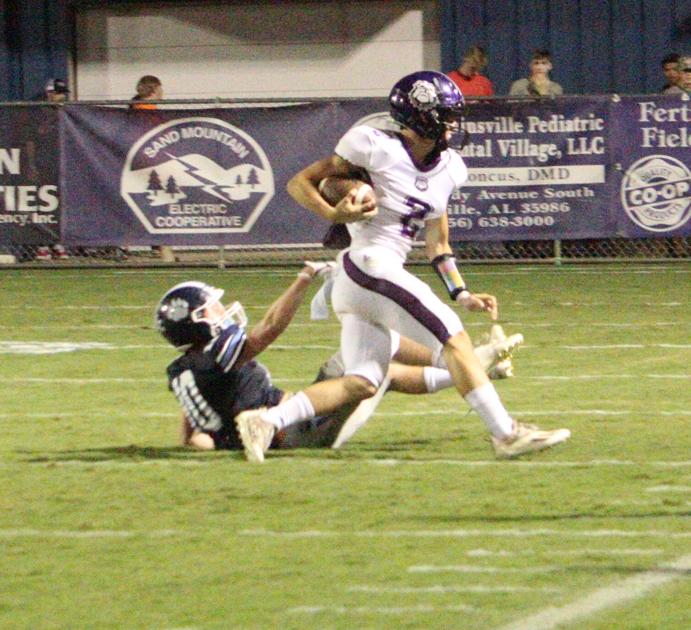 TimesJournal.com - Geraldine upsets Plainview image