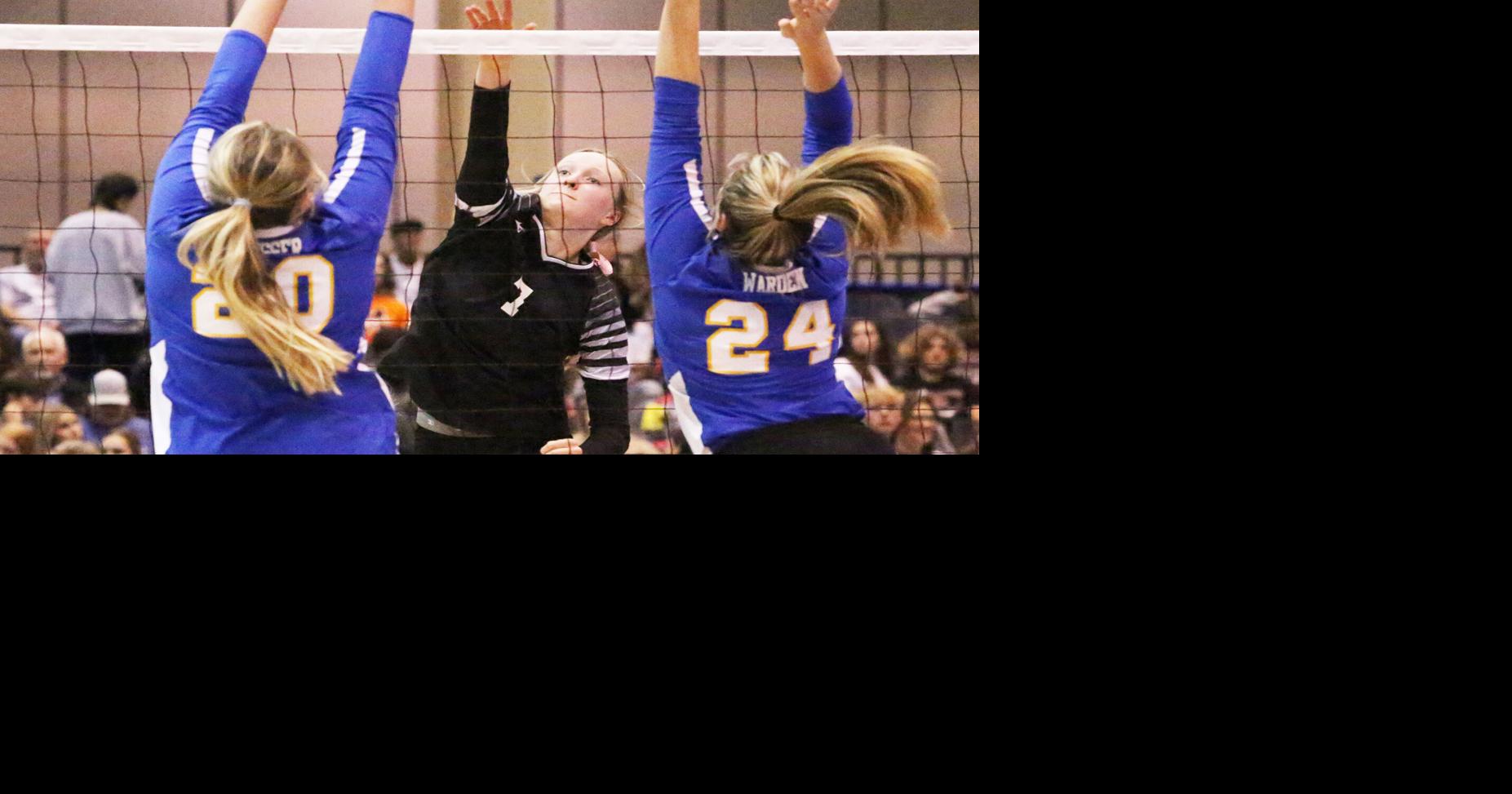 TimesJournal.com - County trio advances to state round image