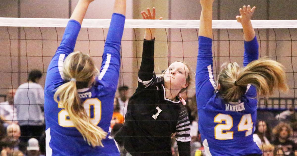 TimesJournal.com - County trio advances to state round image