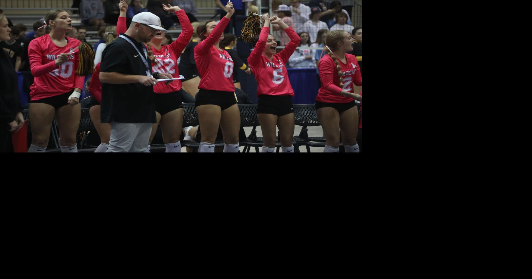 TimesJournal.com - Fort Payne finishes as Super Regional Class 6A runner-up image