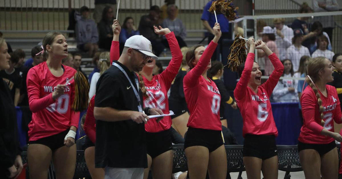 TimesJournal.com - Fort Payne finishes as Super Regional Class 6A runner-up image