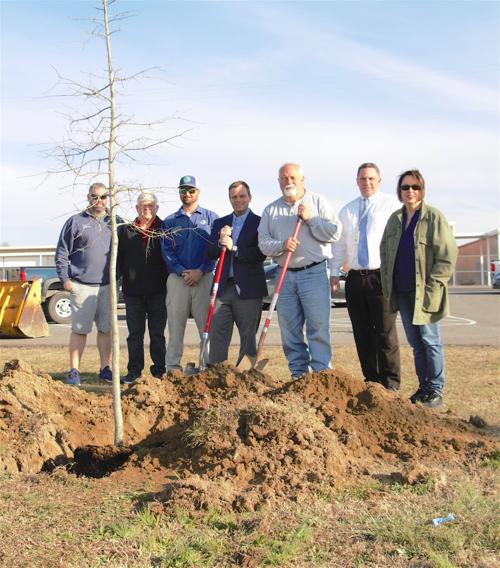 Rainsville Tree City Board plants trees at Plainview