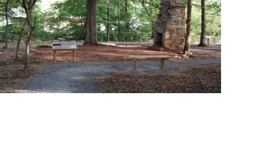 Fall Pilgrimage kicks off in DeKalb today - Vimarsana News