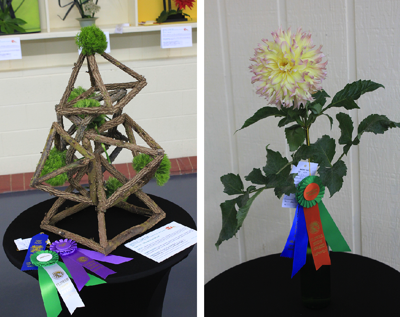 The Northeast Alabama Federation Of Garden Clubs Presented Their