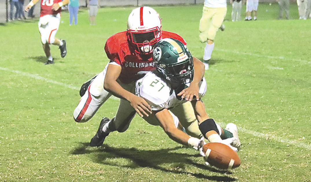 TimesJournal.com - Rams blank Panthers for 2nd region win image