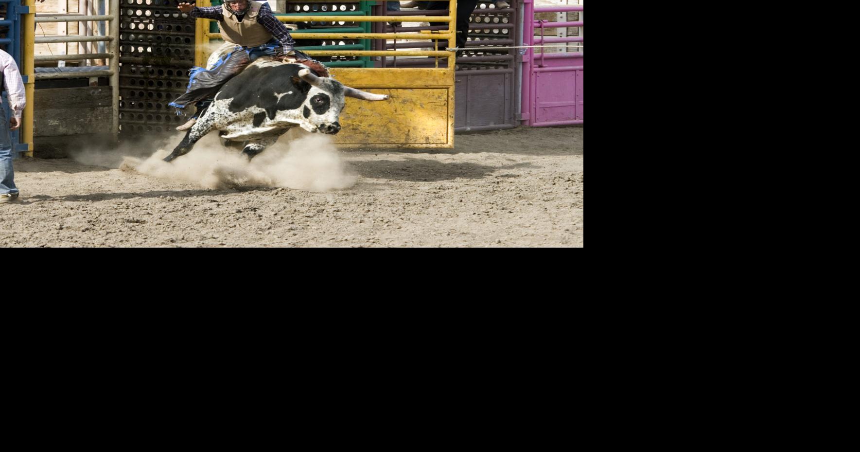 Third annual Shrine Club Rodeo coming to Rainsville News times